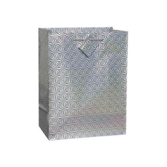 Assorted Colour Holographic Party Birthday Gift Bags 21.5 x 18 x 7.50 cm 0812 A (Parcel Rate)