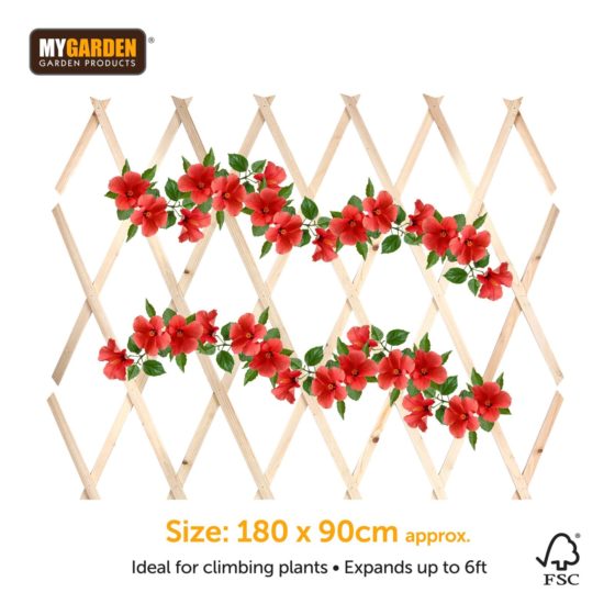 Garden Expanding Wooden Trellis Natural 180 x 90 cm 0892 (Parcel rate)