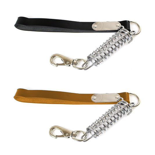 Pet Dog Leash Lead with Buckle Assorted Colours 4619 (Large Letter Rate)